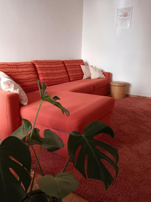 Forti Genova-Free Parking Castellaccio Apartment Εξωτερικό φωτογραφία